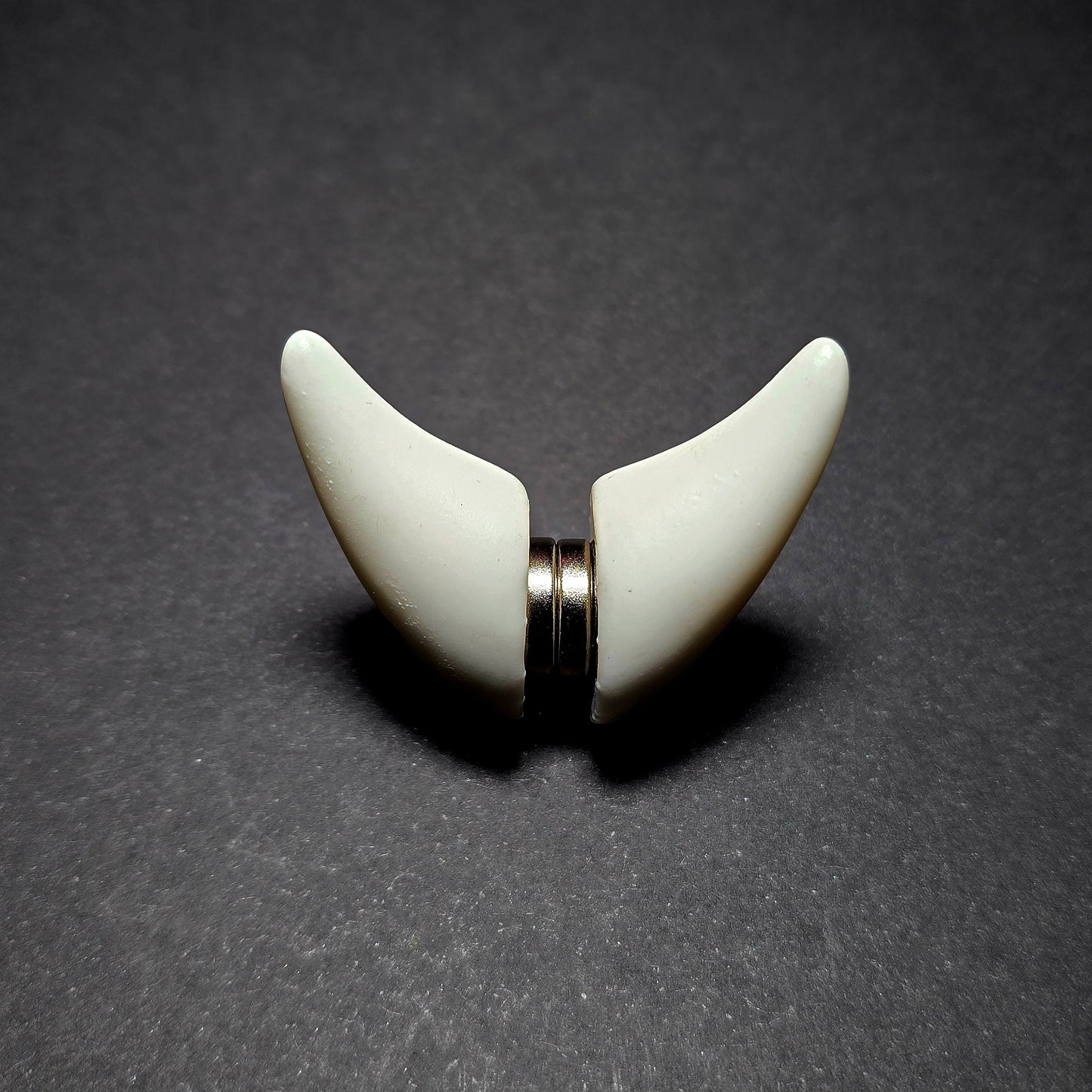 St. Pete Horns